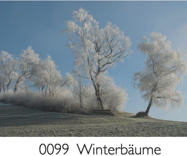 0099 winterbaeume