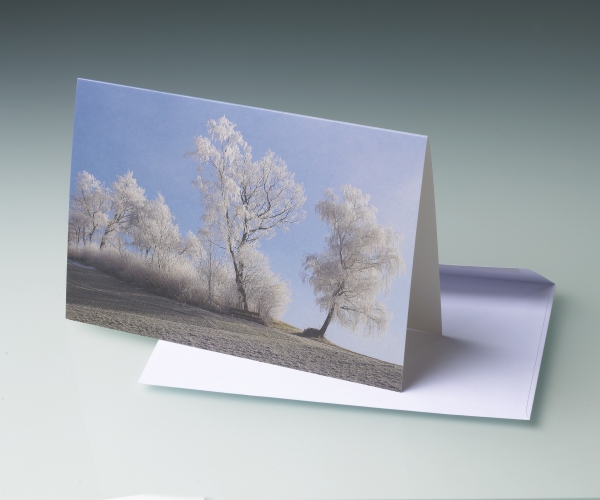 Card Tree 1 0099